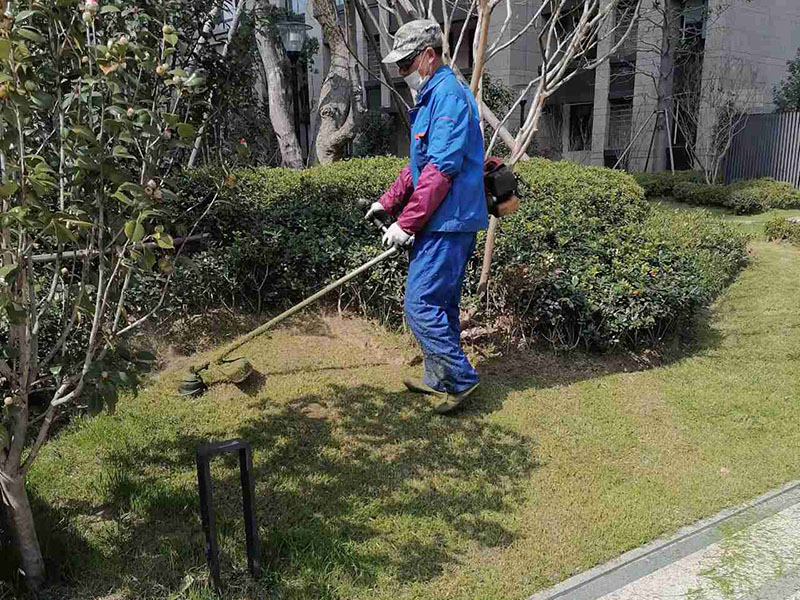 常州市晋陵文景