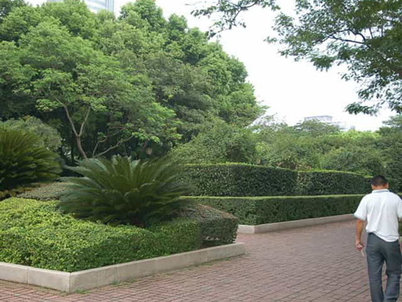 市政绿化养护服务