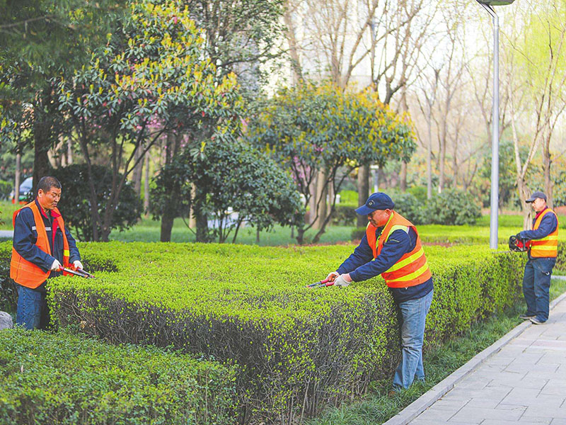 绿化养护