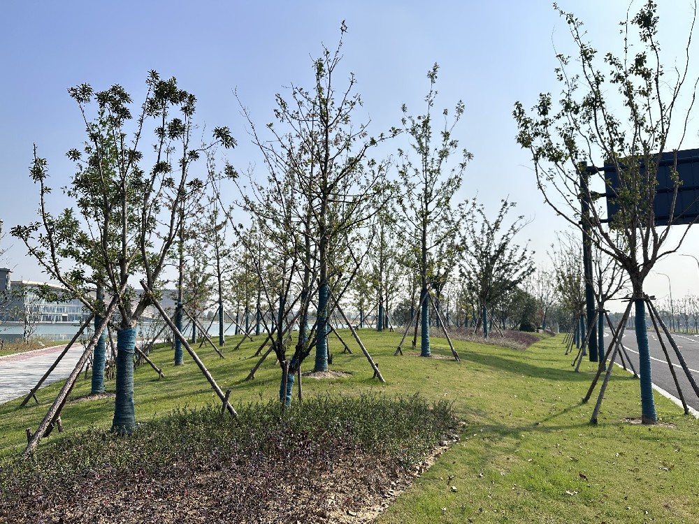 经开区城市客厅