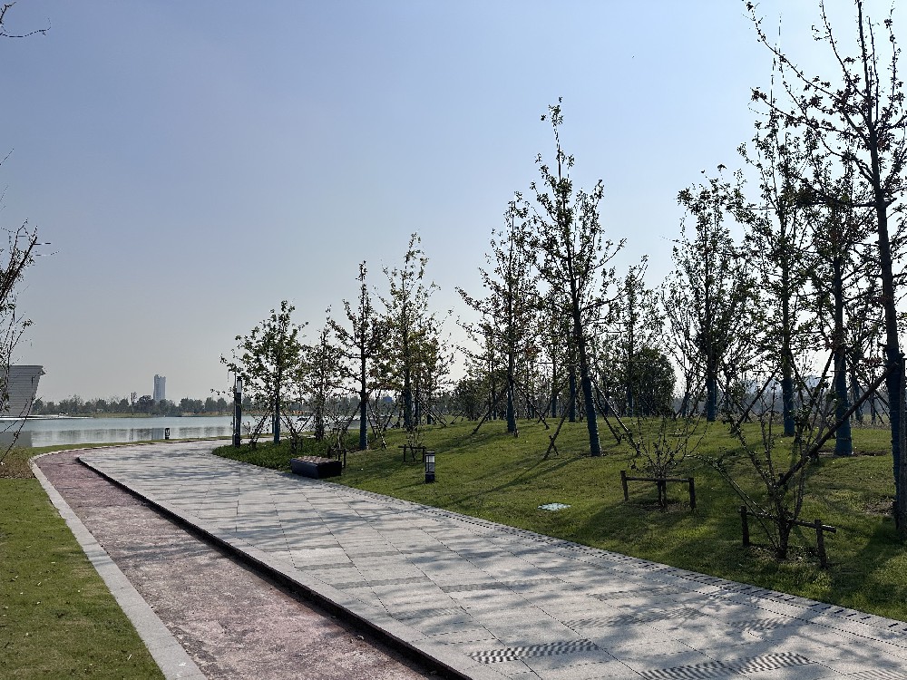 经开区城市客厅