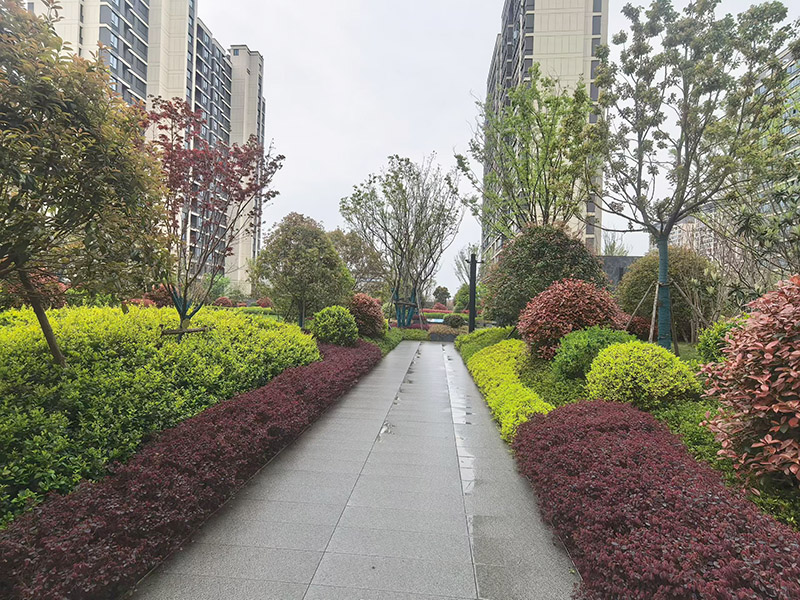 案例展示