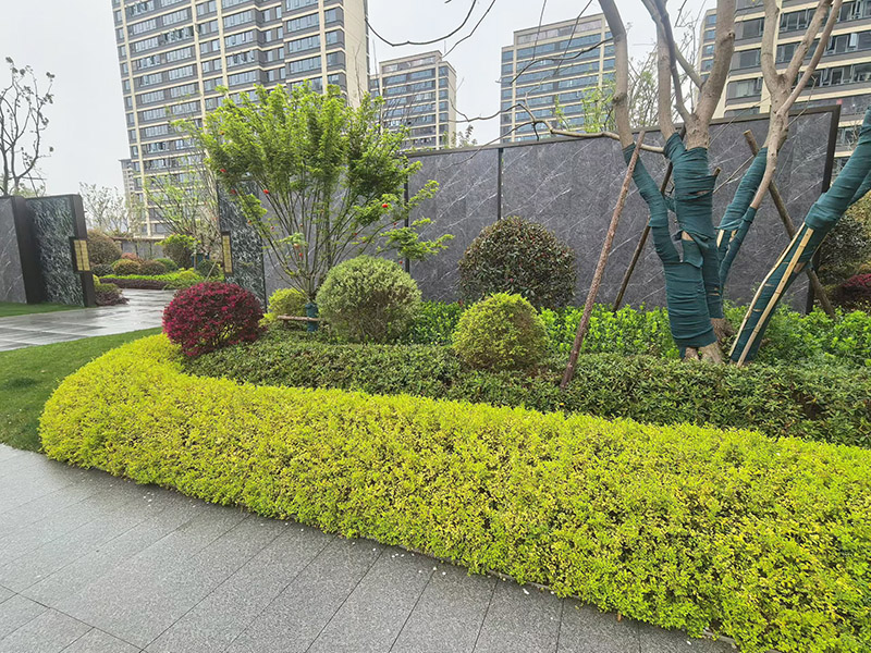 案例展示